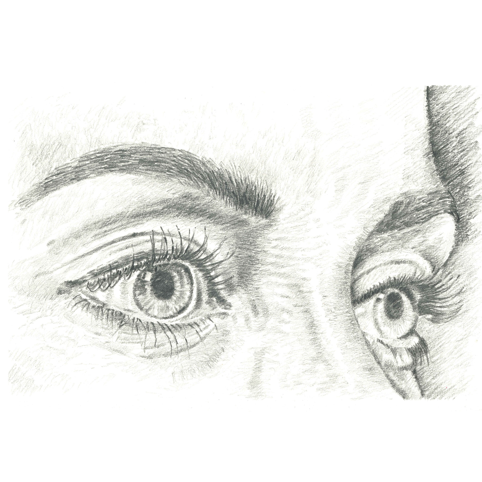 Sketch of Eyes
